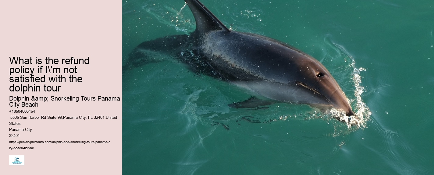 Panama City Beach dolphin discovery excursions