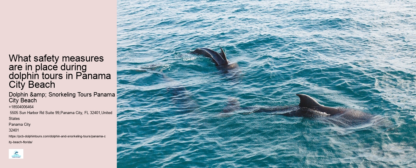 PCB Dolphin Encounters