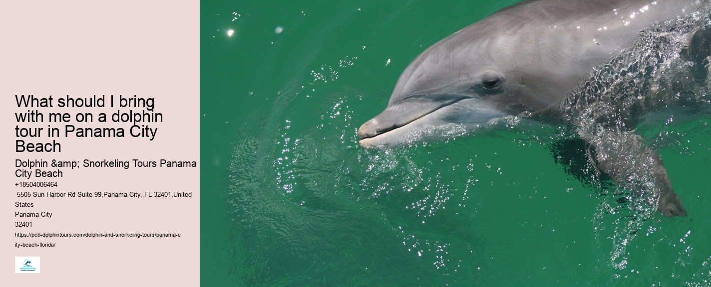 What happens if the weather is bad during my scheduled dolphin tour