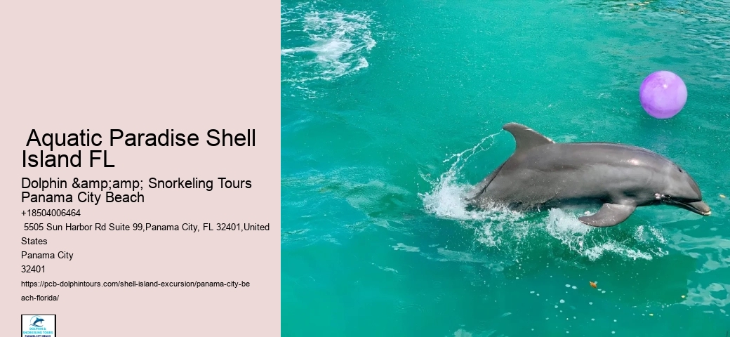  Shell Island Hidden Adventures