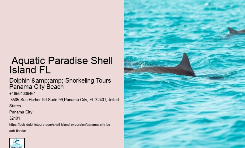  The Nesting Site For Four Endangered Sea Turtles