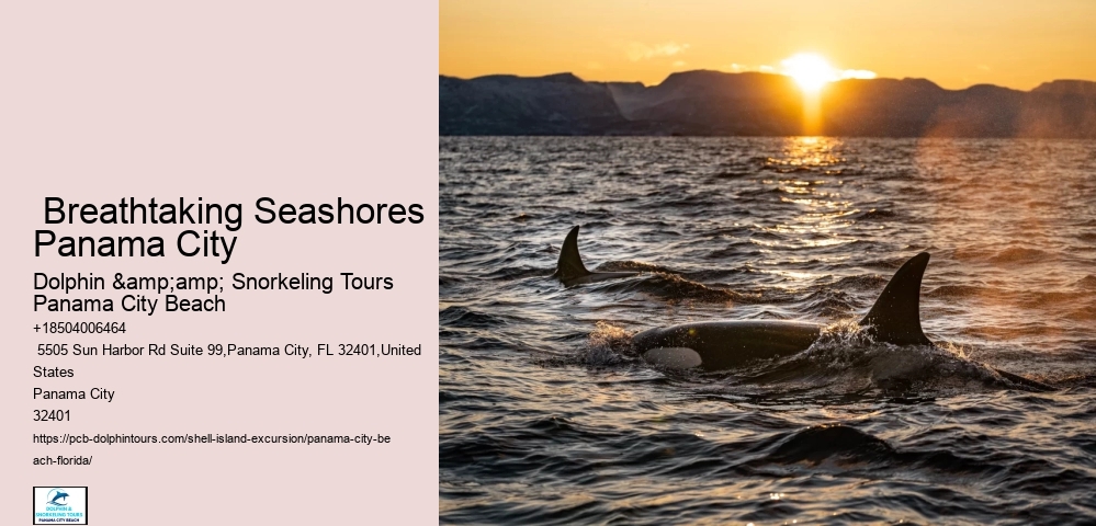  Shell Island Hidden Oasis Tours