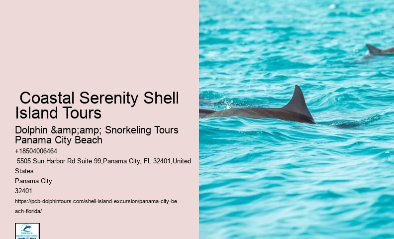  Shell Island Trips & Dolphin Tours
