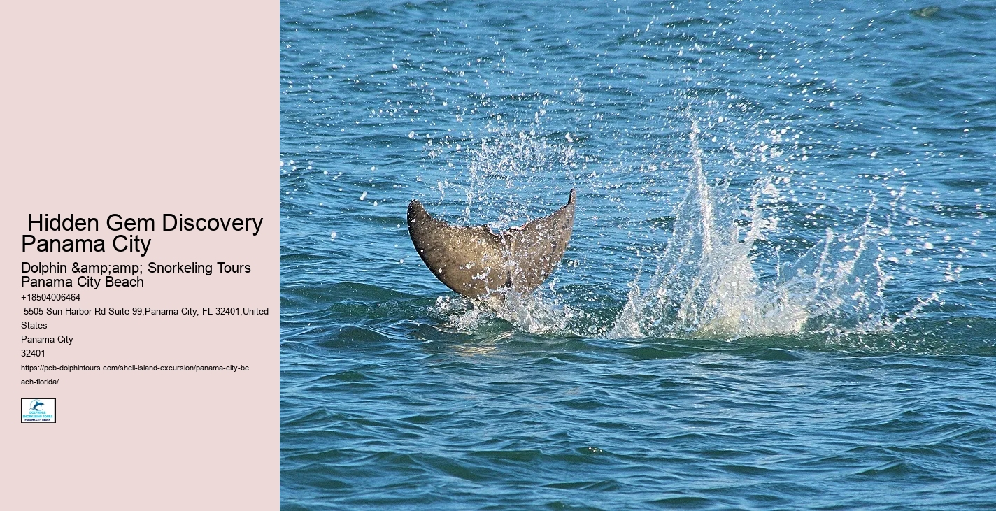  Panama City Marine Life Excursions