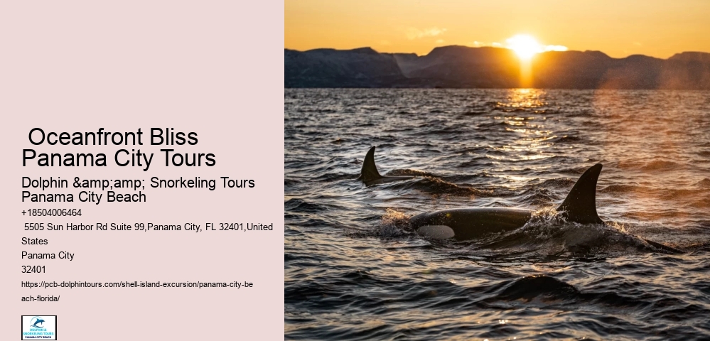  Breathtaking Beachfront Excursions
