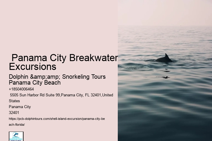  Secluded Panorama Shell Island Excursions