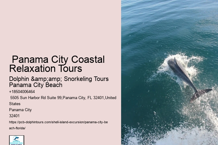  Shell Island Dolphin Tours