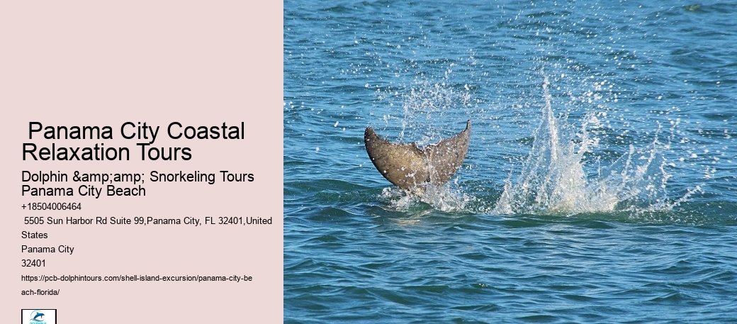  Where To Go Snorkeling Near Shell Island