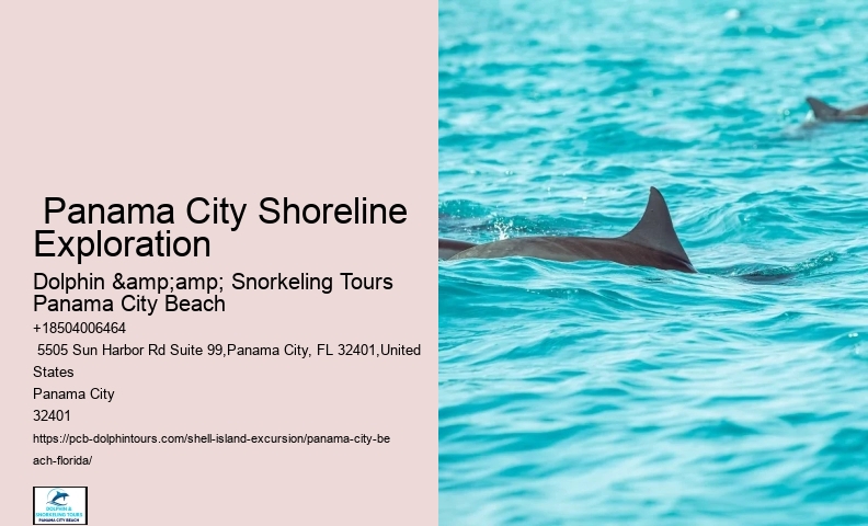  Shell Island: Top Boat Rental Facility