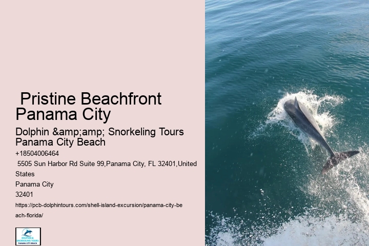  Shell Island Coastal Odyssey Panama City