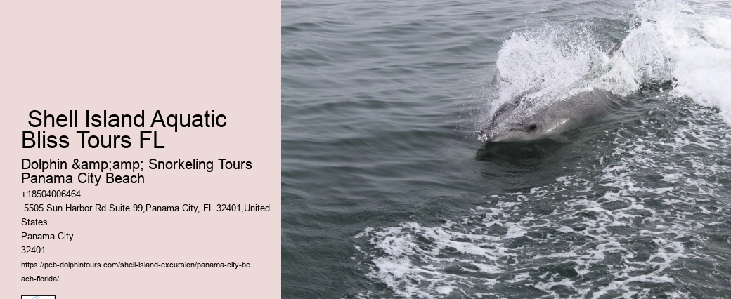  Shell Island Panorama Boat Trips