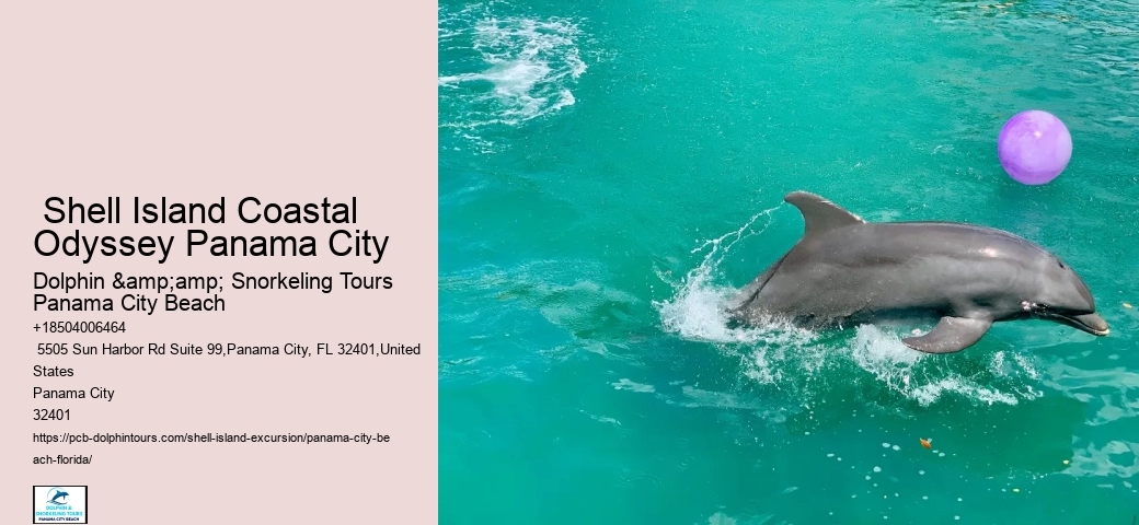  How Do You Get To Shell Island Panama City