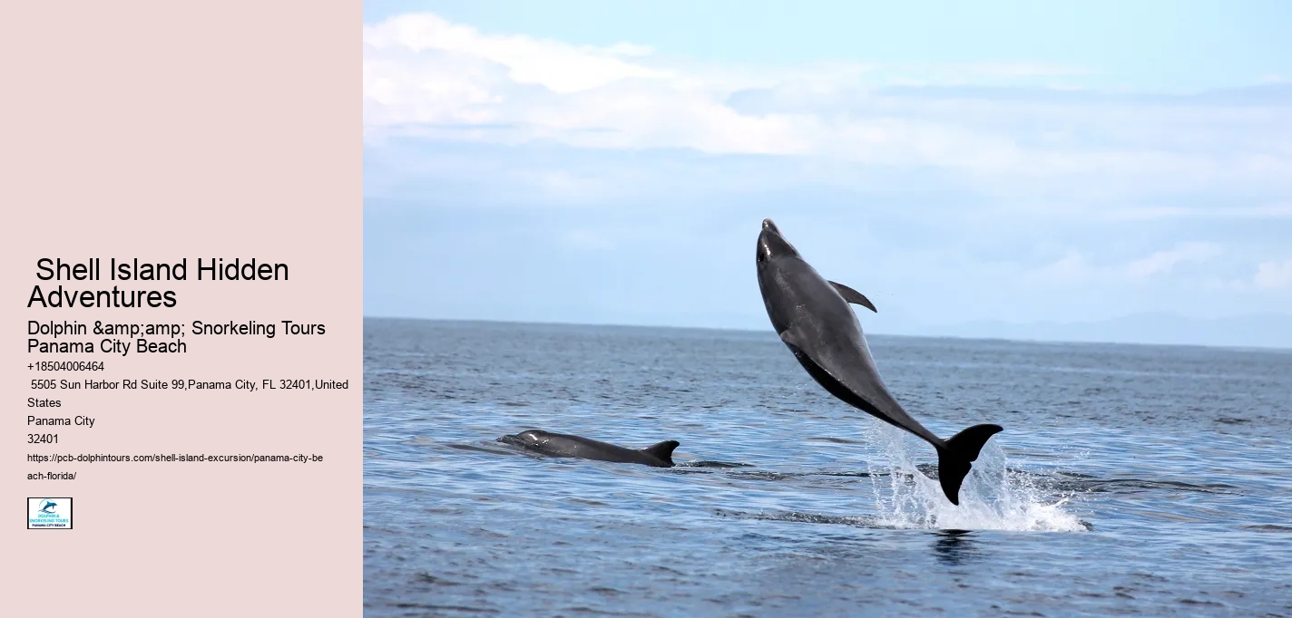  Oceanfront Bliss Panama City Tours
