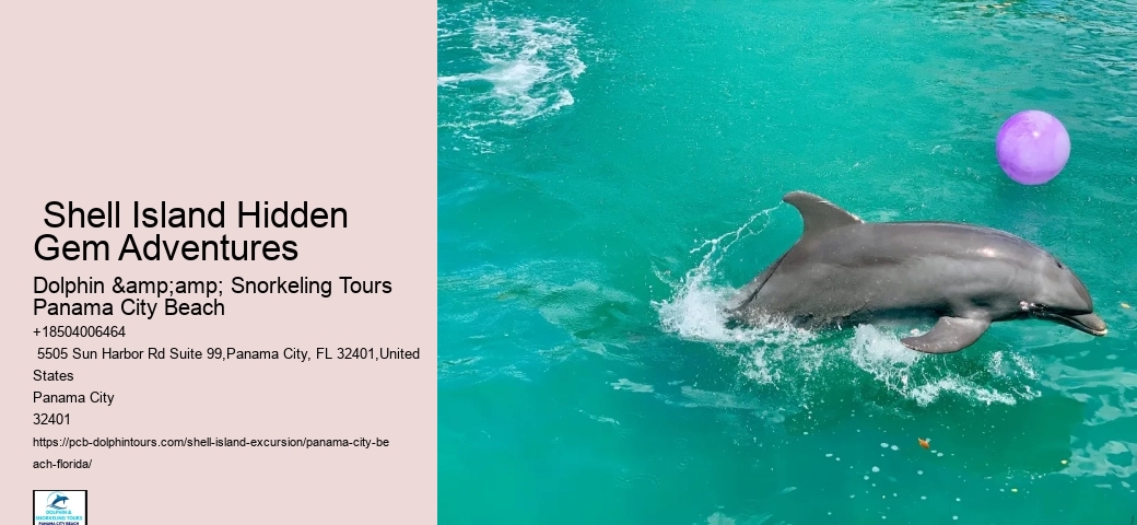  Shell Island Florida- Complete Visitor's Guide