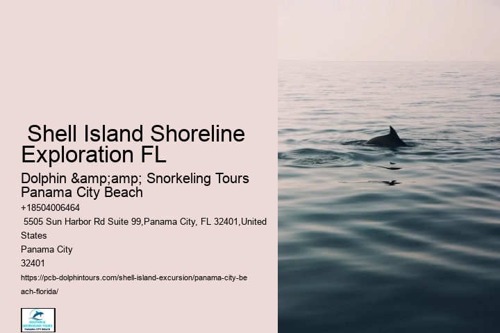  Best Beaches In Florida For Beachcombing & Shelling