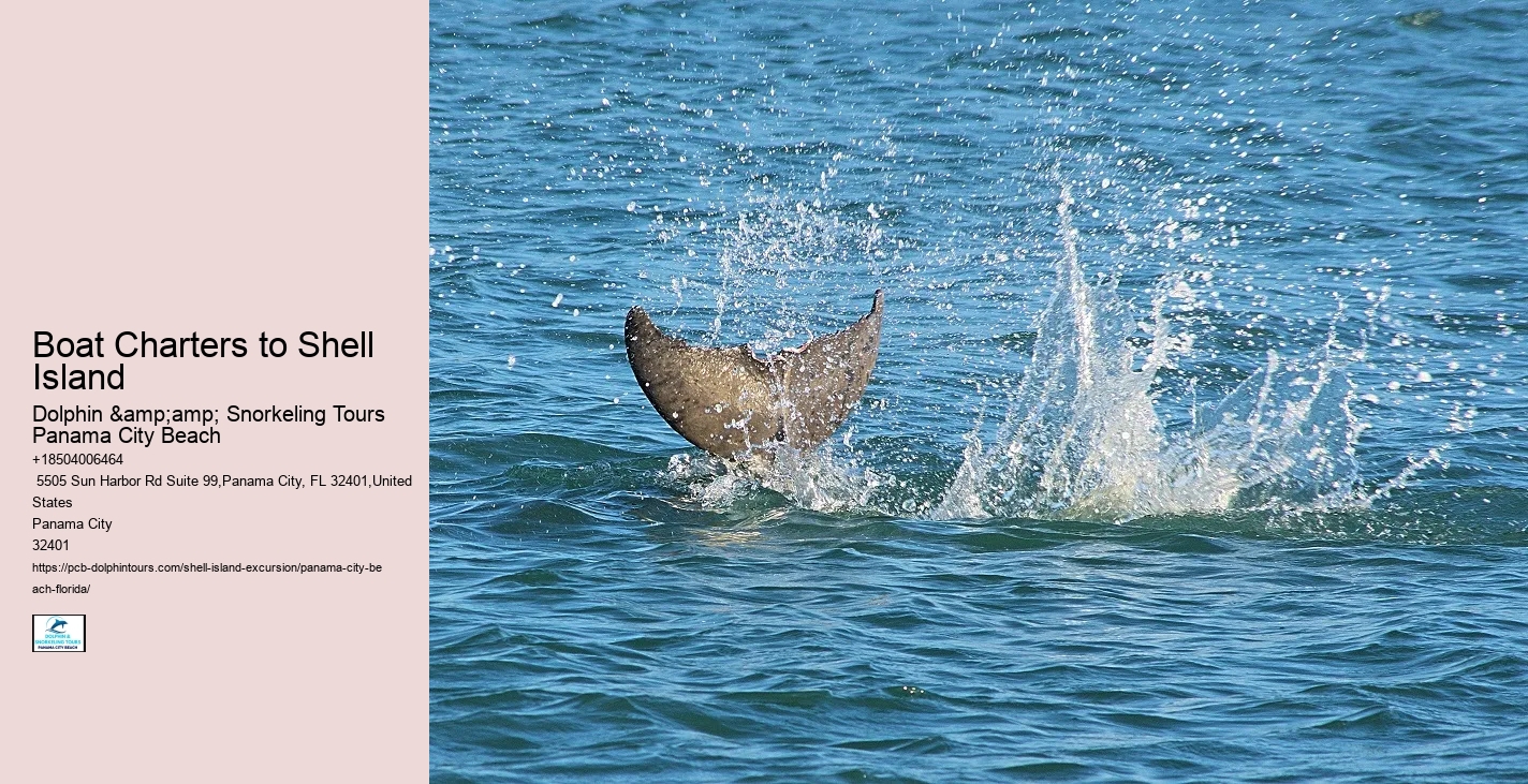  Bottlenose Dolphins