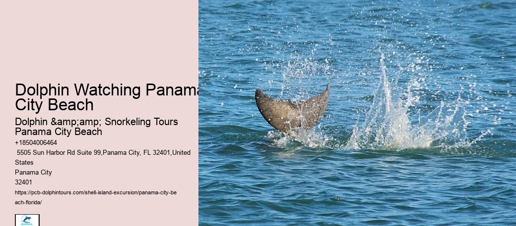  Shell Island Trips & Dolphin Tours