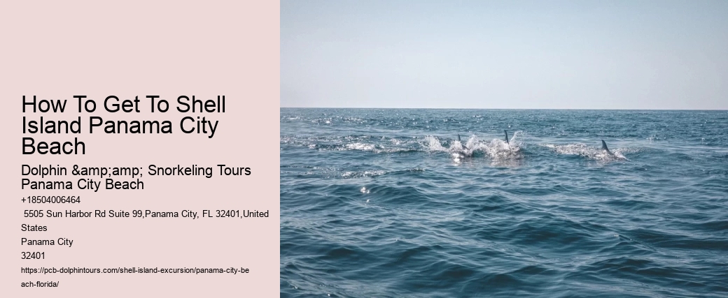 Dolphin Tours Adventures