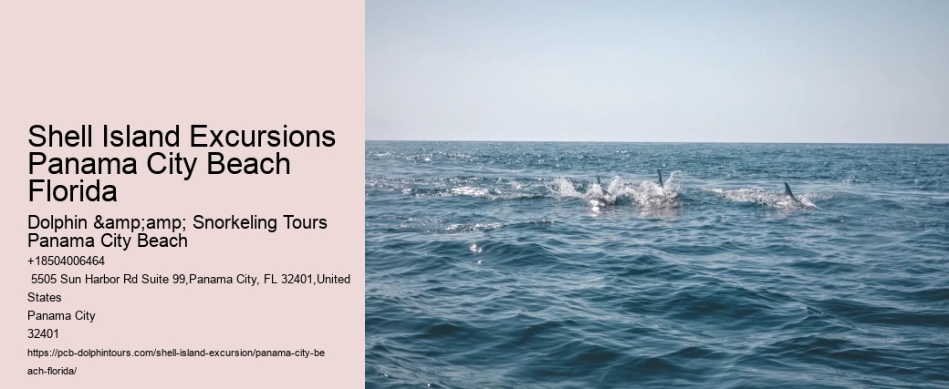  Visit Shell Island