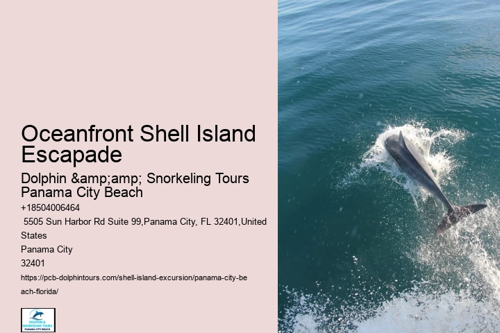  Leave Seashells On The Seashore Or Risk Damaging Ecosystem
