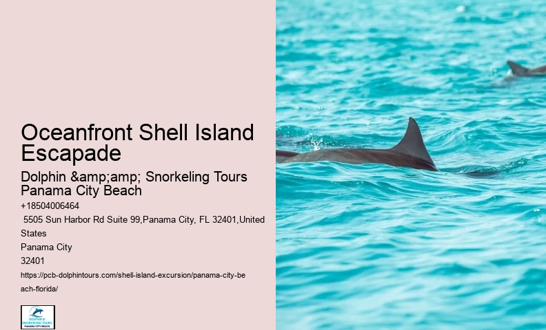  Should You Take A Conch Shell From The Beach