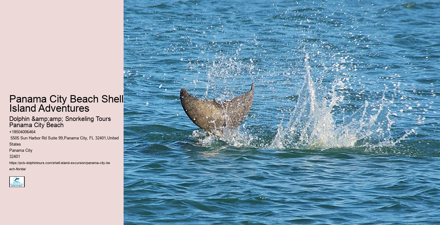  Hour Shell Island