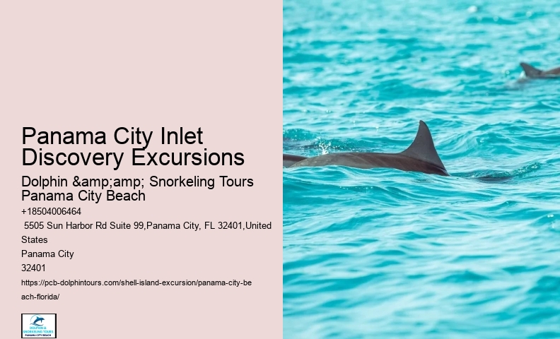  Shell Island Seafaring Excursions