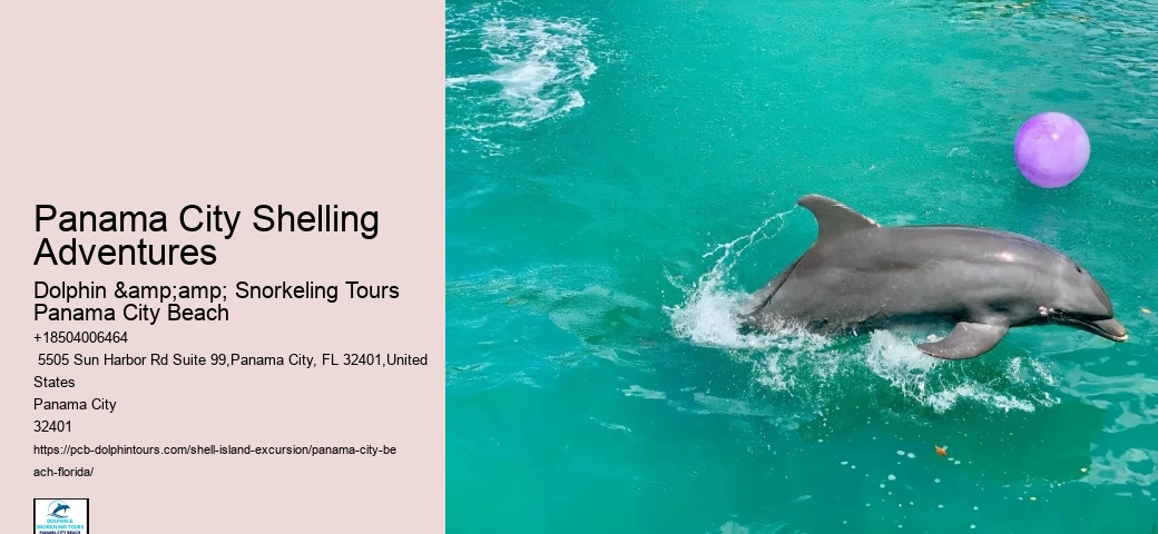 Shell Island Tranquil Oasis Excursions