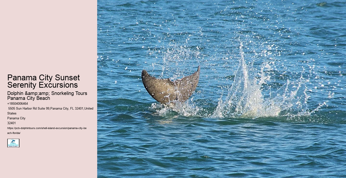  Panama City Dolphin