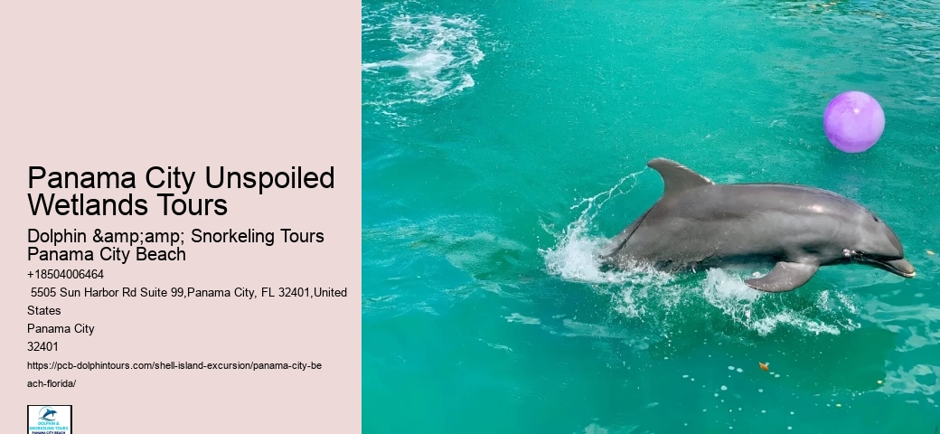  Shell Island Aquatic Bliss Tours FL