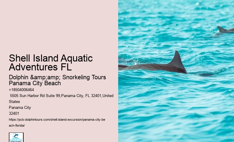  Shell Island Tours In Panama City Beach