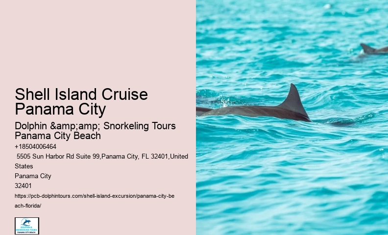  Snorkel Tours
