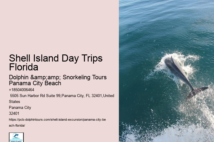 Shell Island Excursions Panama City Beach Florida