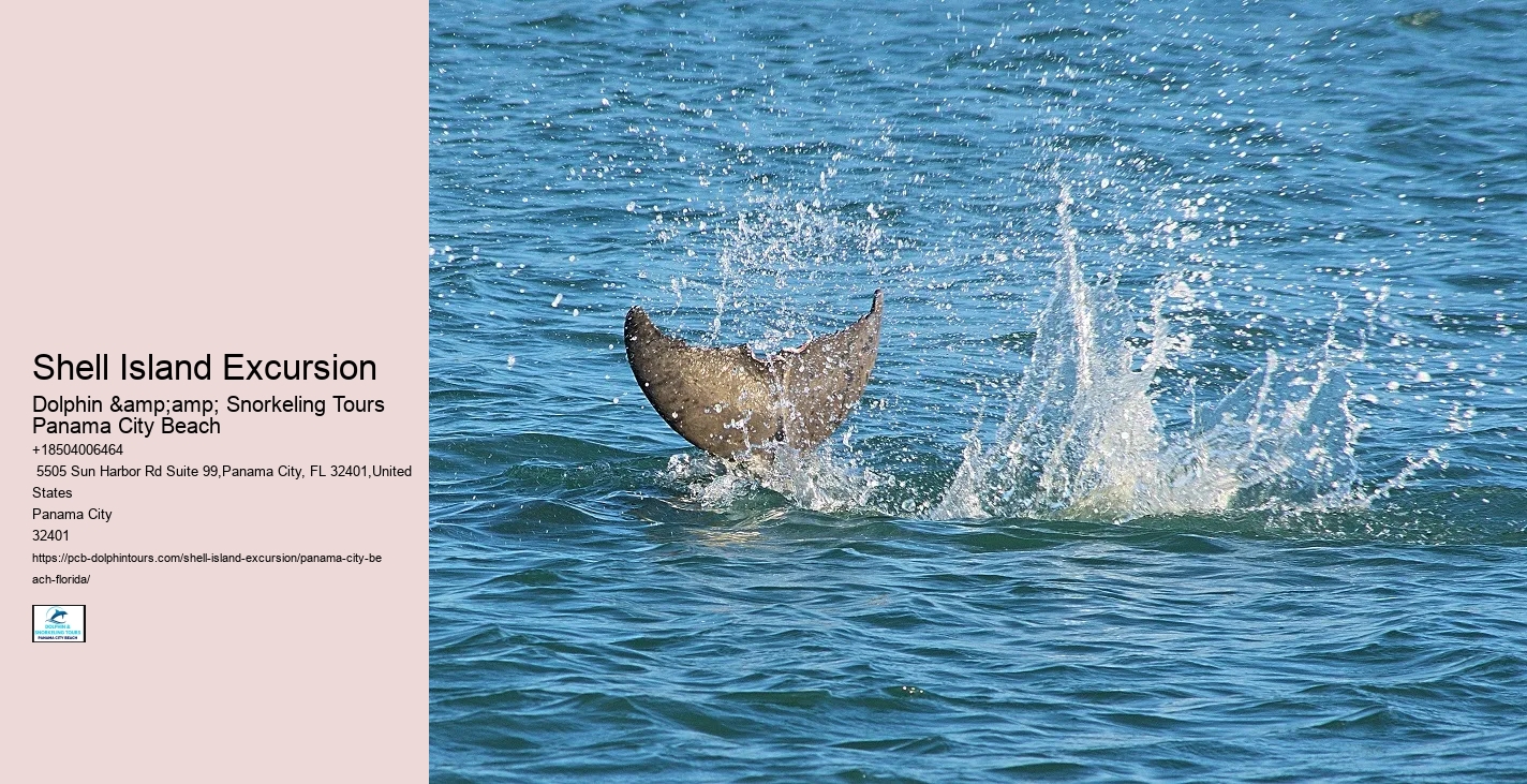  Shell Island Excursions Panama City Beach Fl