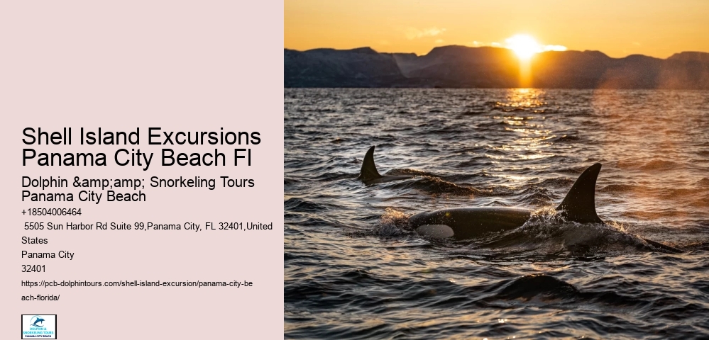  Panama City Breakwater Excursions