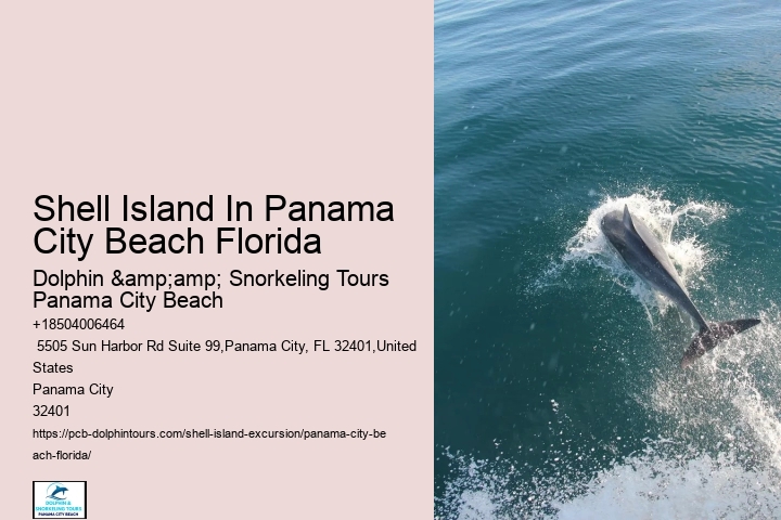  Sea Shelling: Can You Find Seashells In Panama City Beach
