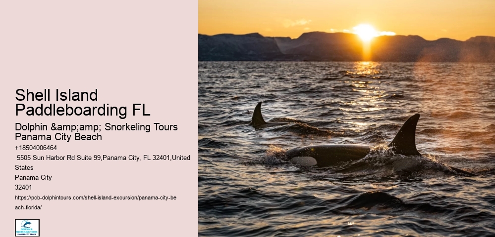  Shell Island Excursions