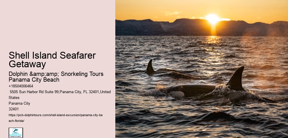  How Much Is The Ferry From Panama City To Pearl Islands?