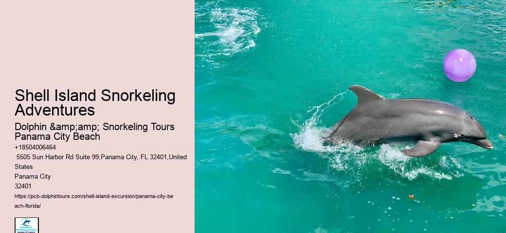  Shell Island Seashore Serenity Tours