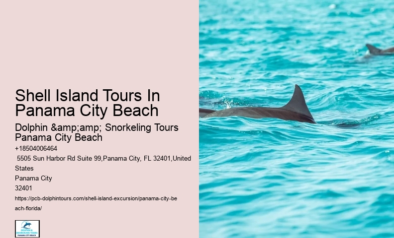  Shell Island Coastal Panorama Boatrides