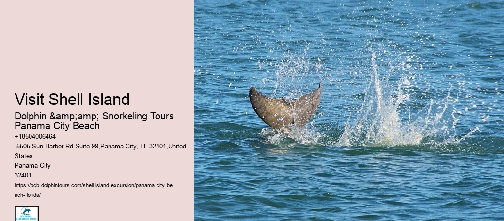  How Long Is Shell Island Tour