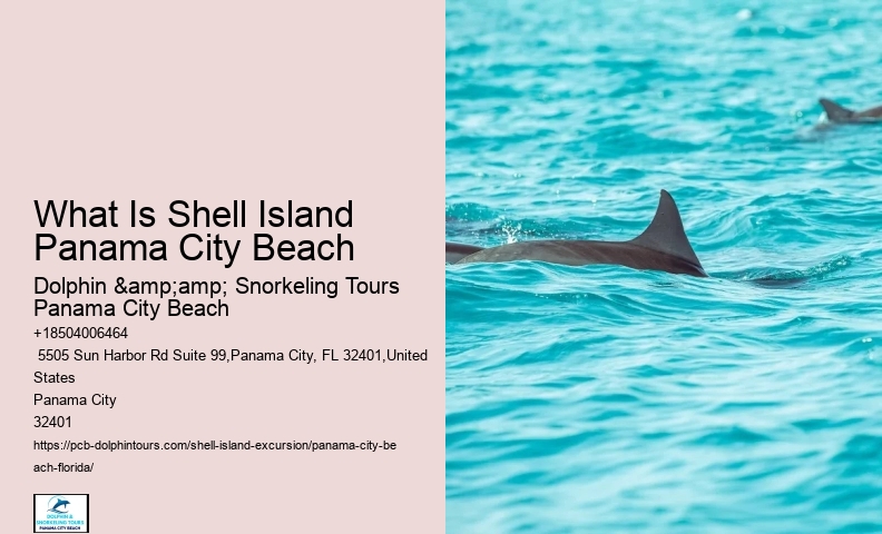  Shell Island Aquatic Serenity Tours