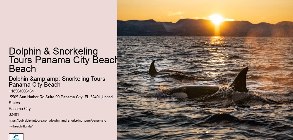 Panama City Beach Snorkeling Tours Maine