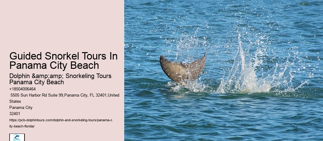Panama City Beach Snorkeling Tours Eco