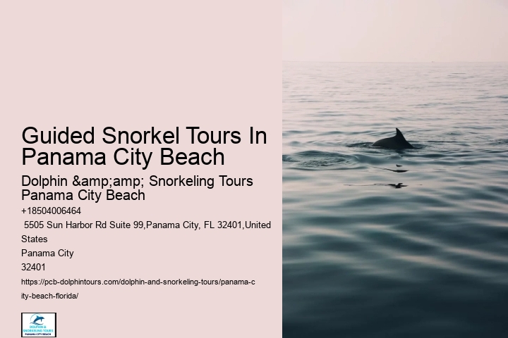 Panama City Beach Snorkeling Tours East Mountains