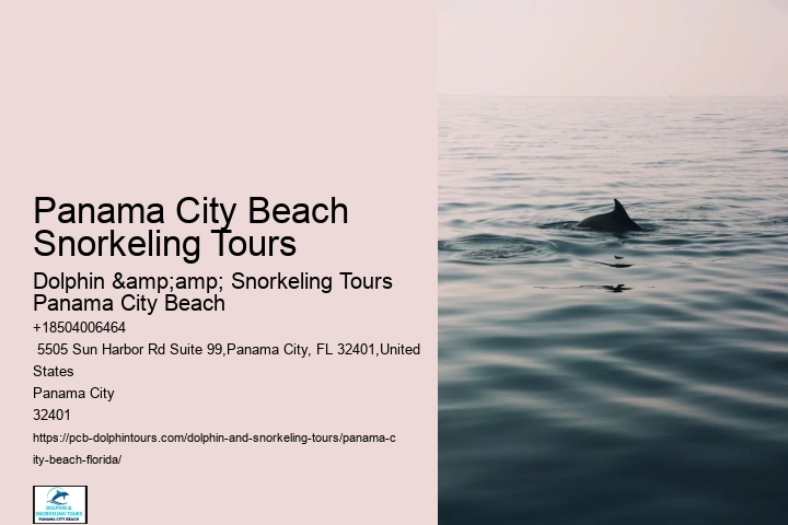 Panama City Beach Snorkeling