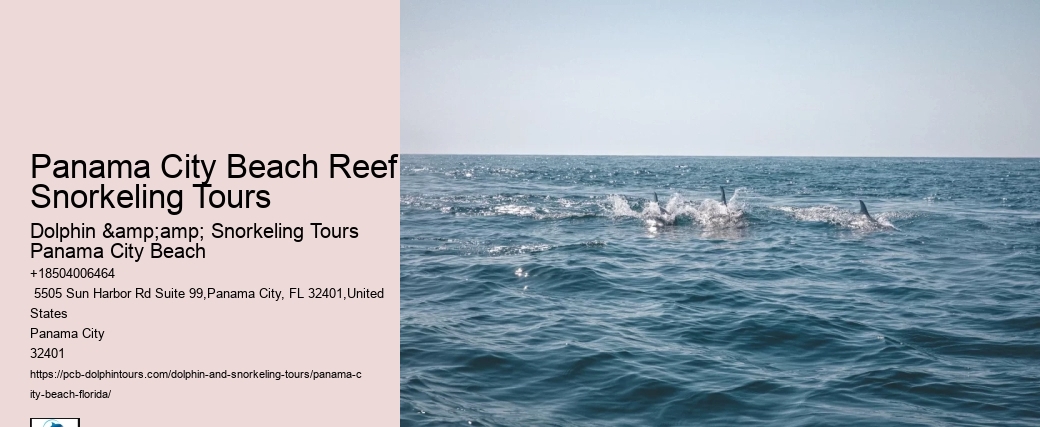Panama City Beach Snorkel Voyage Tours