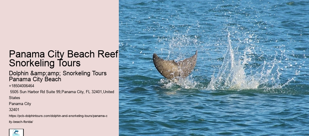 Panama City Beach Snorkel Exploration Outings
