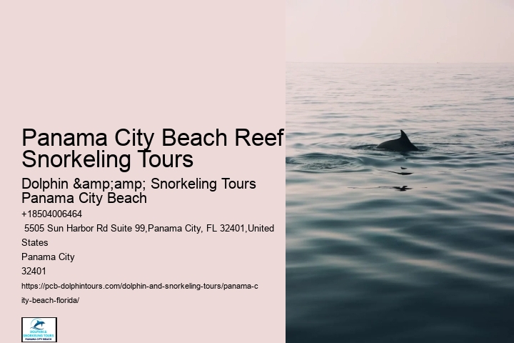Are There Discounts Available For Group Bookings On Snorkeling Tours