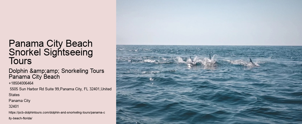 Panama City Beach Snorkel Sightseeing Tours